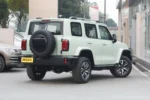 Tank 300 Time Traveler Compact SUV– Buy Direct From China | Electric Cars From China for Sale - Chinese EV Israel