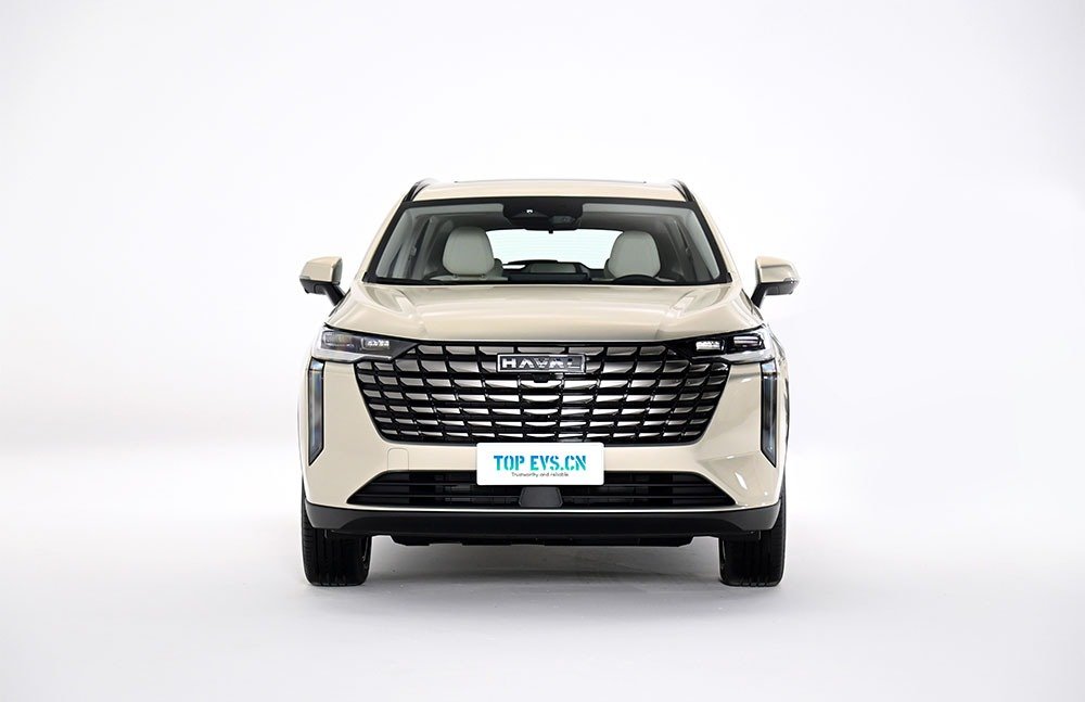 imgi_3_1_3(10) GWM Haval H6– For Sale From China | EVs From China - Image 1